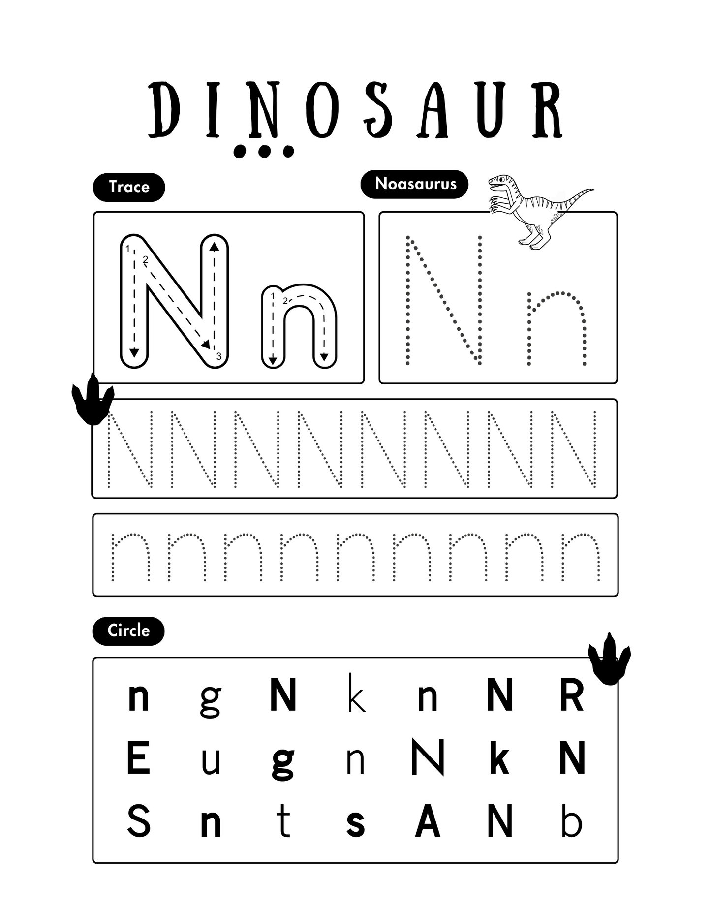 Little Explorers Dinosaurs