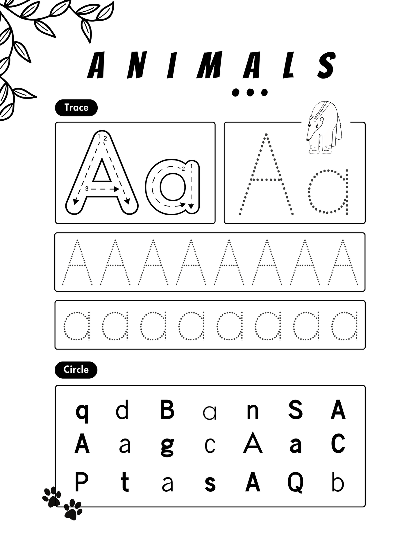 Little Explorers Animals