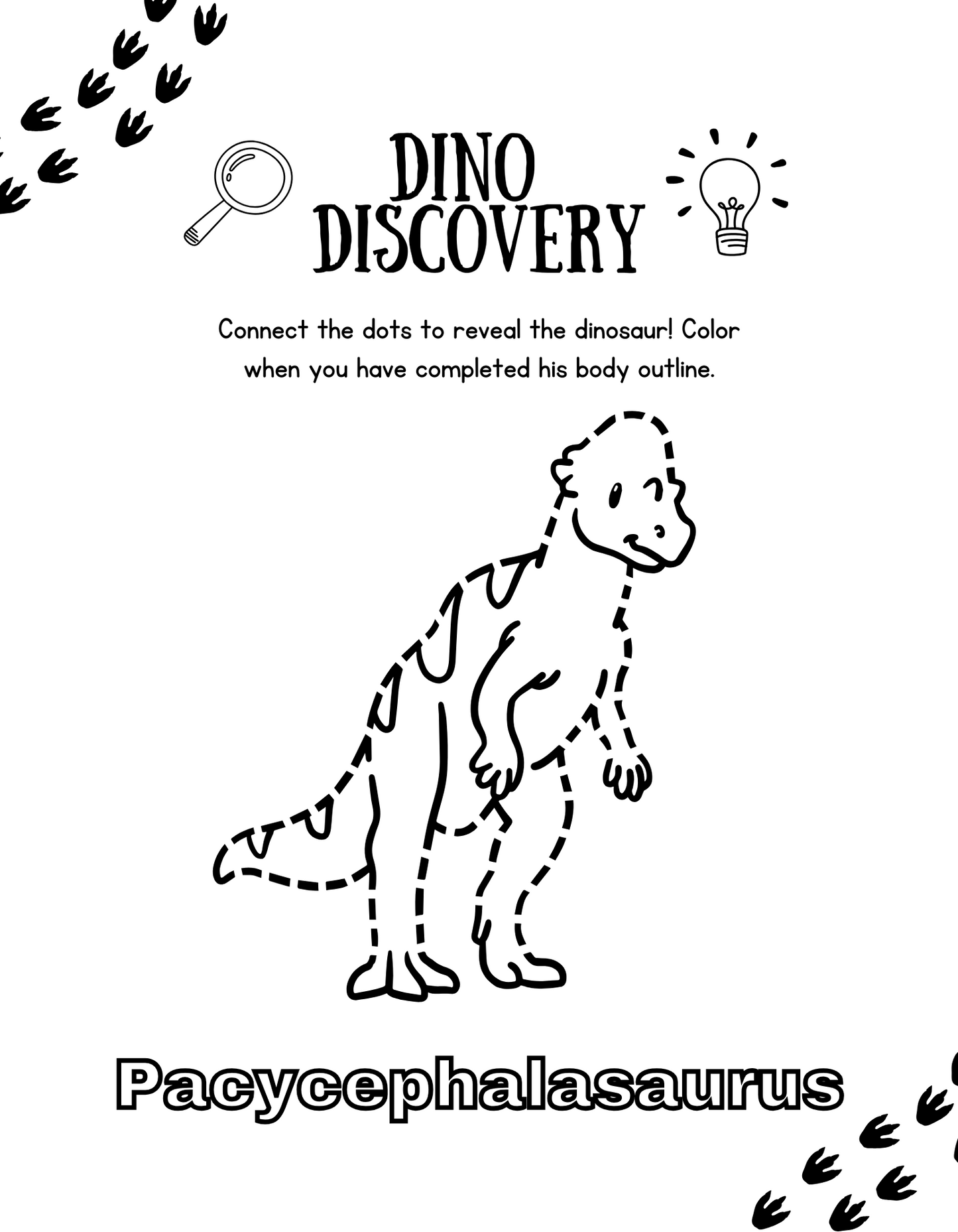 Little Explorers Dinosaurs