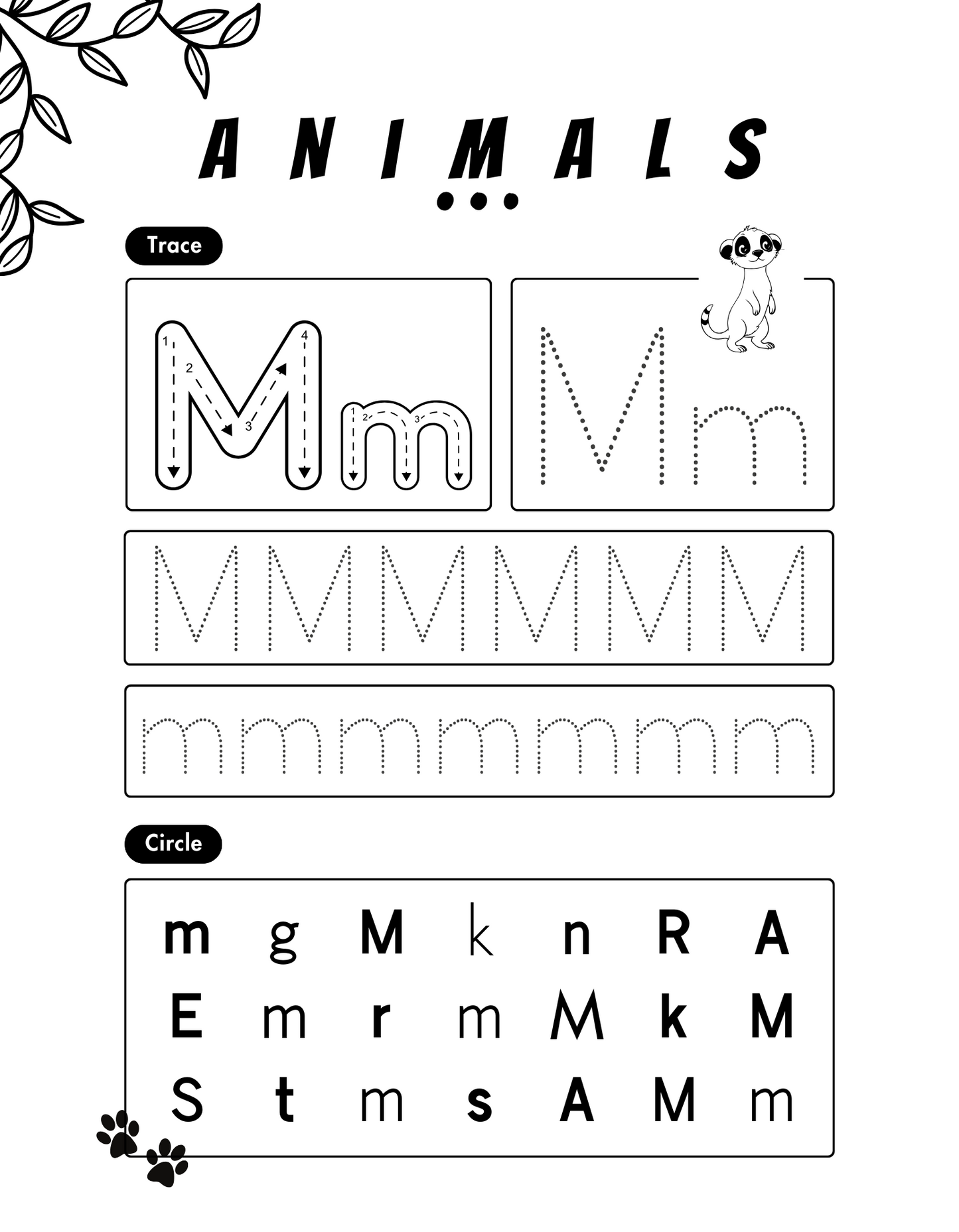 Little Explorers Animals