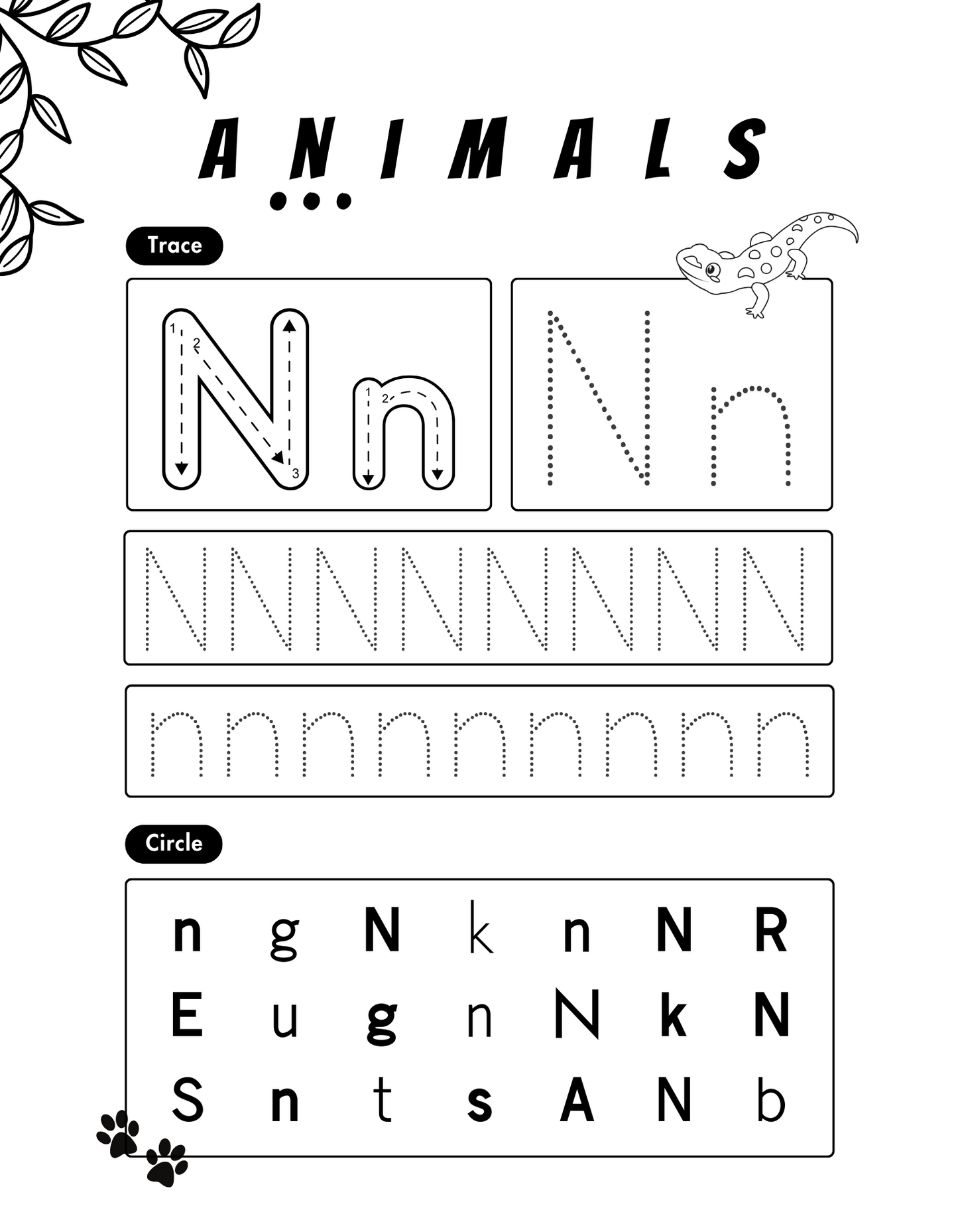 Little Explorers Animals