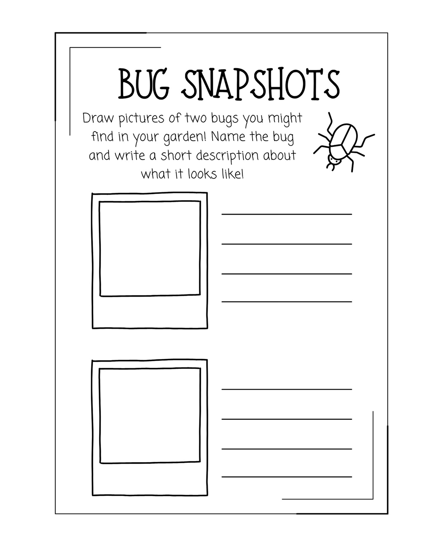 Junior Scientist Entomologist