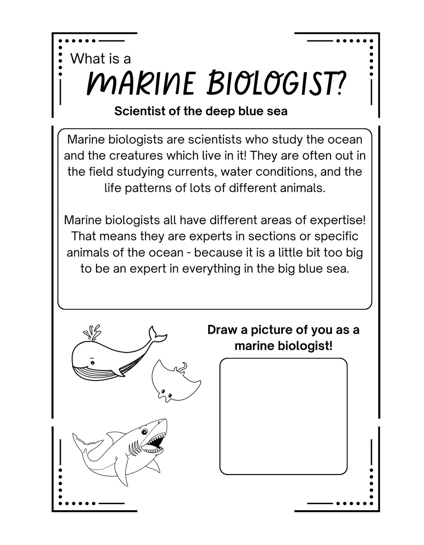 Junior Scientist Marine Biologist