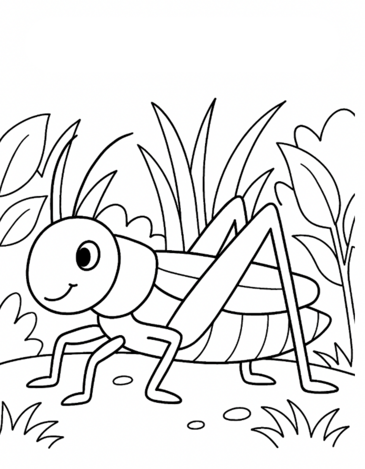 Junior Scientist Entomologist