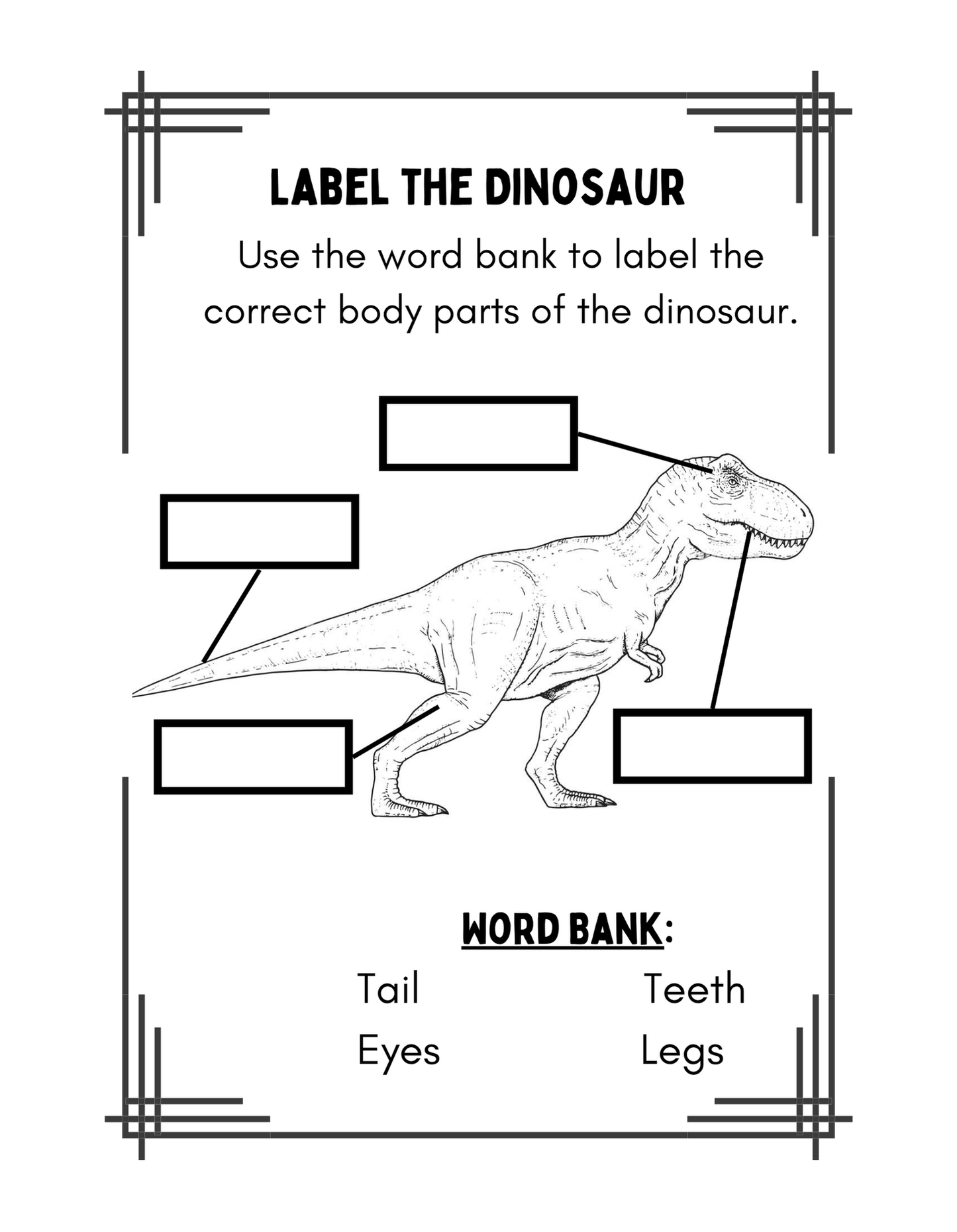 Junior Scientist Paleontologist