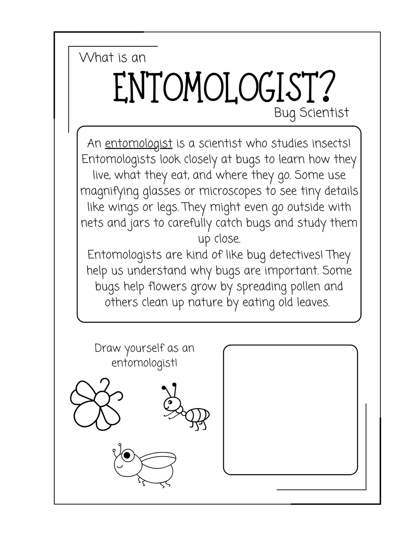 Junior Scientist Entomologist